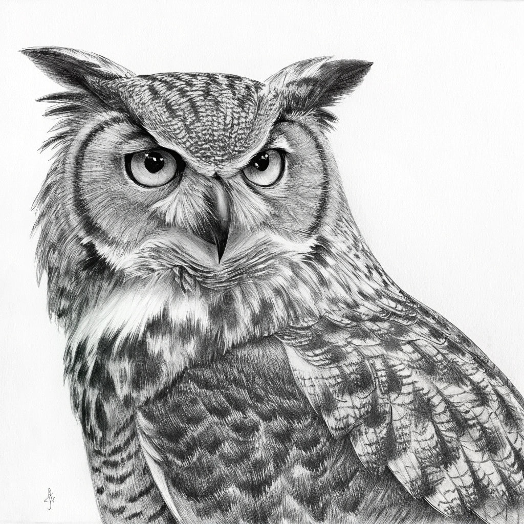 BElike the Owl Collection | Spirit Animal Apparel & Gifts | BElike.store